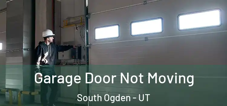  Garage Door Not Moving South Ogden - UT